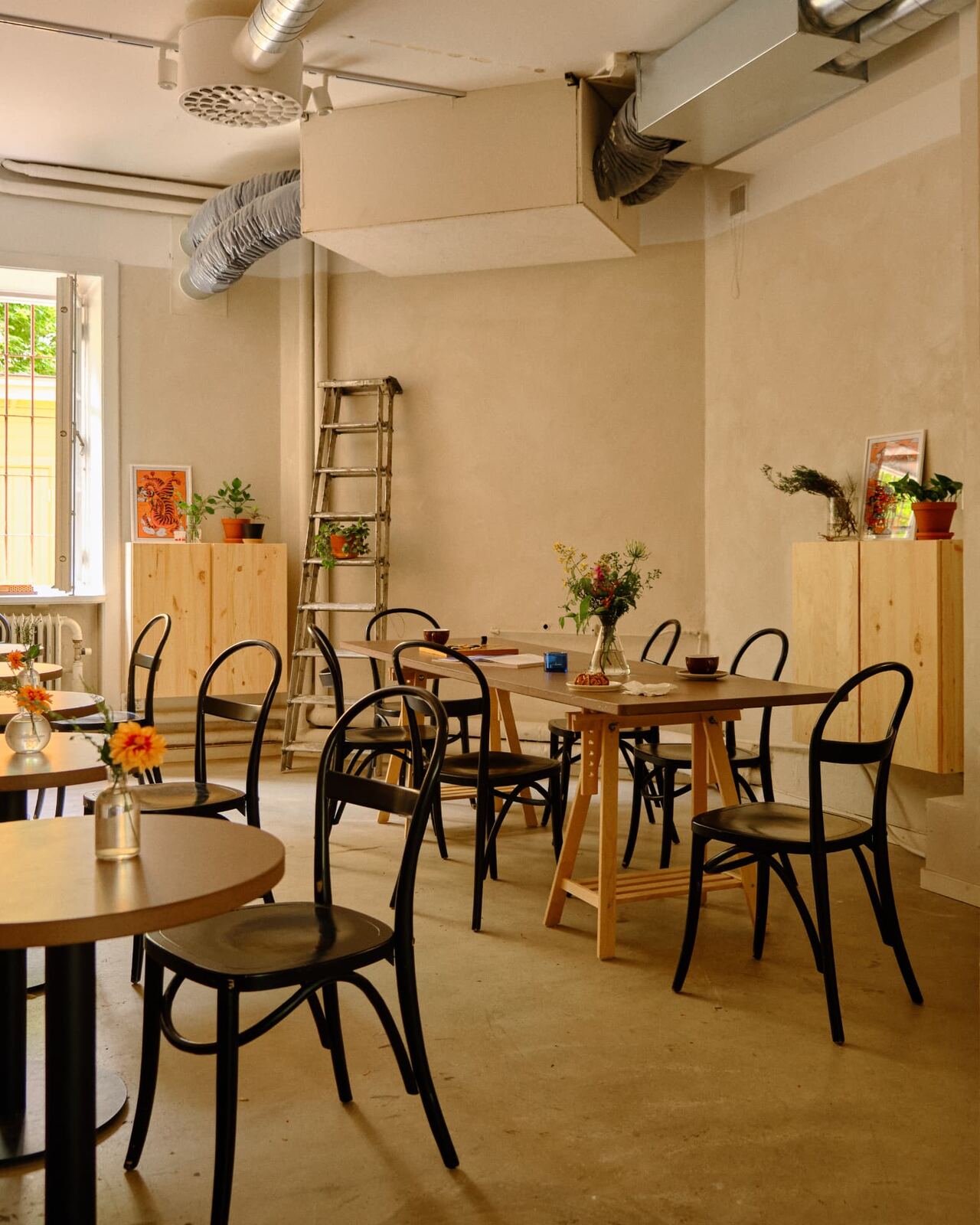The large communal table with plants at the back of Tigre Kaffebar