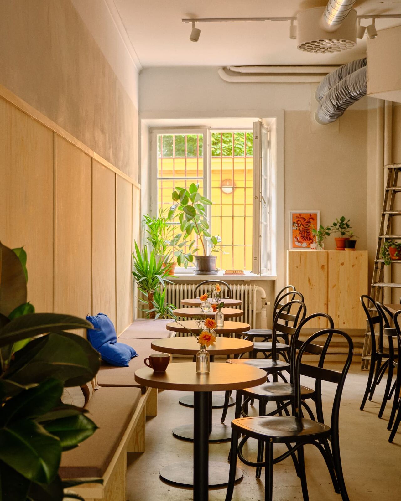 Cushioned bench seating and round tables at Tigre Kaffebar with sunlight coming through the window
